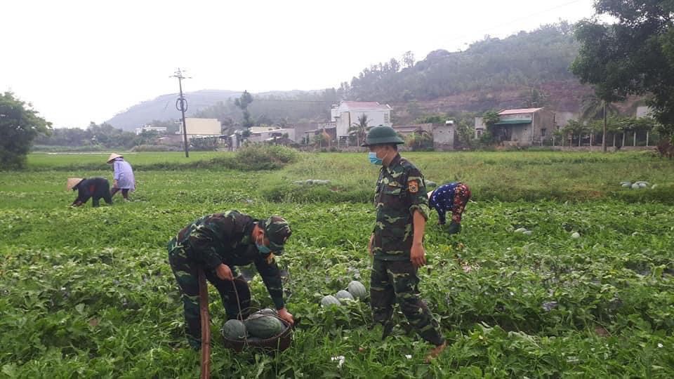 Sở Công Thương đồng hành cùng nông dân tiêu thụ nông sản tỉnh Quảng Ngãi trong bối cảnh đại dịch Covid 19