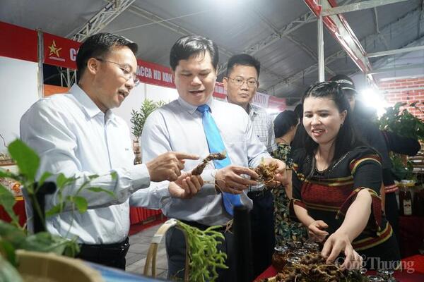 Hơn 5 tỷ đồng doanh thu từ Hội chợ Công Thương và OCOP Quảng Ngãi 2025