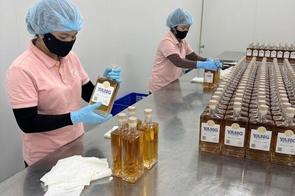 Công tác kiểm tra, hậu kiểm về an toàn thực phẩm đối với các cơ sở sản xuất, kinh doanh thực phẩm, cơ sở sản xuất dụng cụ, vật liệu bao gói, chứa đựng tiếp xúc trực tiếp với thực phẩm thuộc quyền quản lý của ngành Công Thương trên địa bàn tỉnh Quảng Ngãi năm 2026