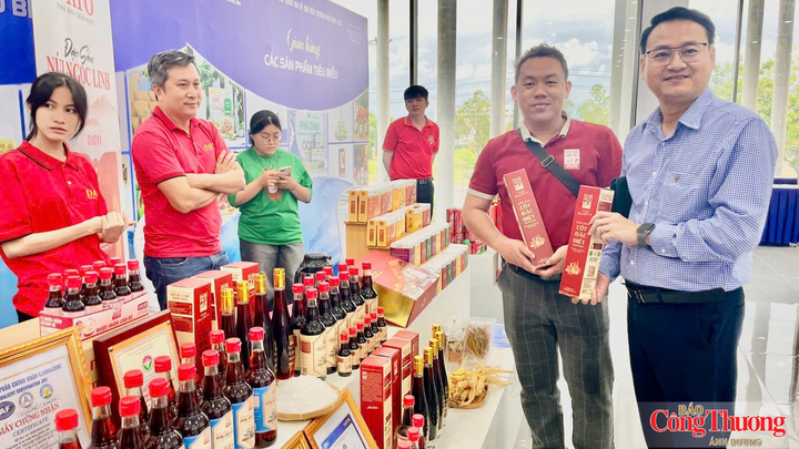 Những doanh nghiệp vừa, nhỏ, siêu nhỏ cũng rất cần được hỗ trợ trong tiếp cận thông tin chính sách, thị trường, vốn, công nghệ và nguồn nhân lực.